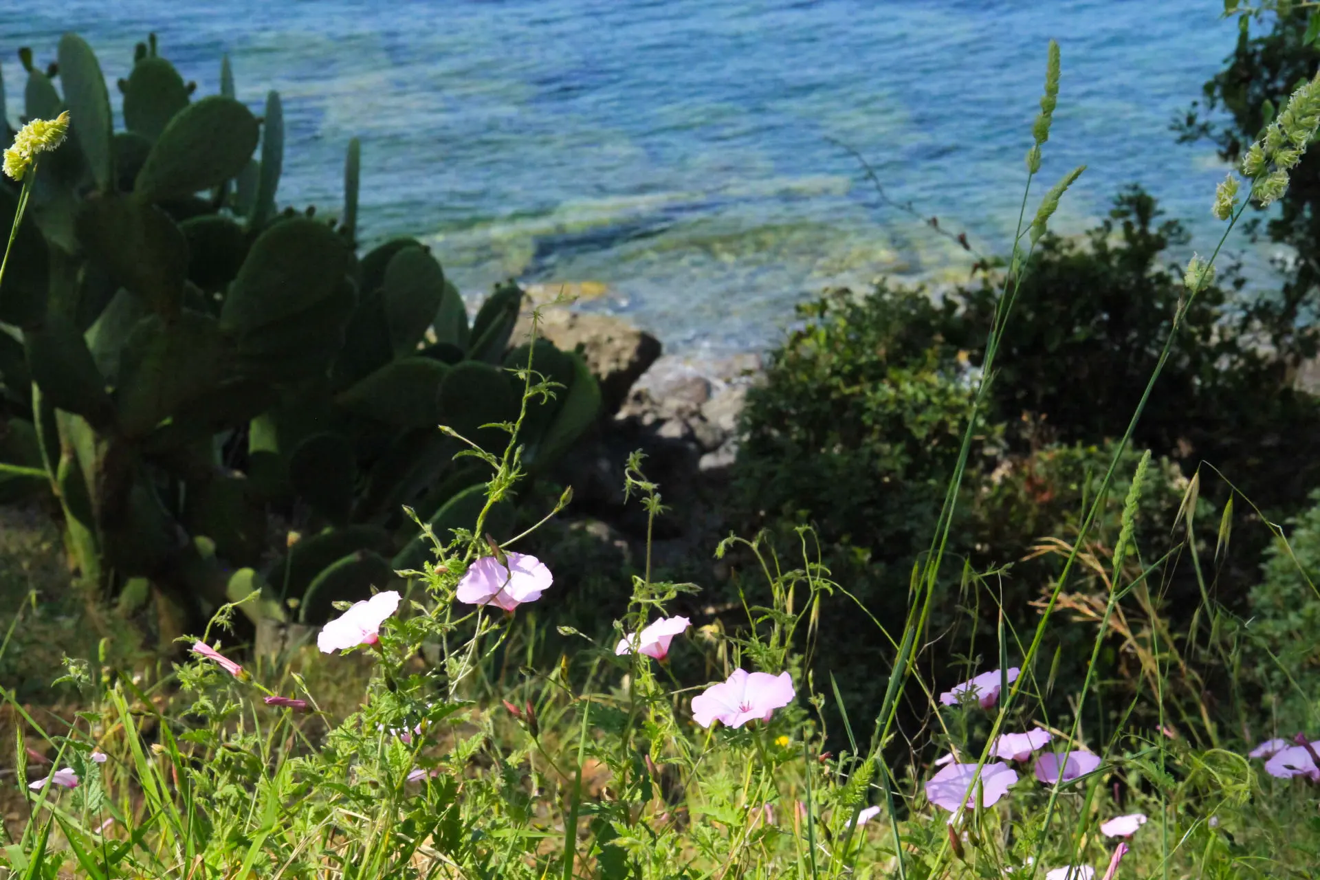 Location saisonnière par Peloola.com photographe à Saint-Raphaël